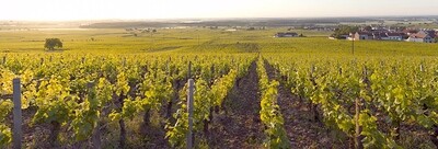 FRANCE Burgundy - Cote de Nuits - Clos de la Roche