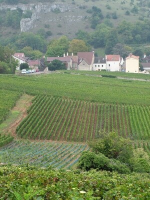 FRANCE Burgundy - Cote de Beaune - Bourgogne