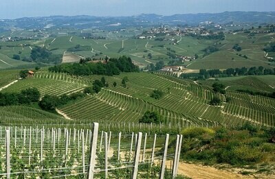 ITALY Piedmont - Langhe