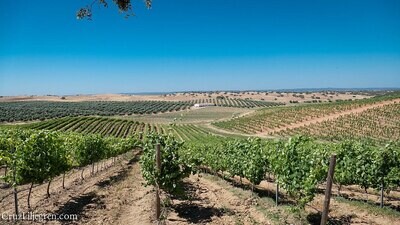 PORTUGAL Alentejo