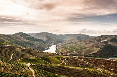PORTUGAL Douro