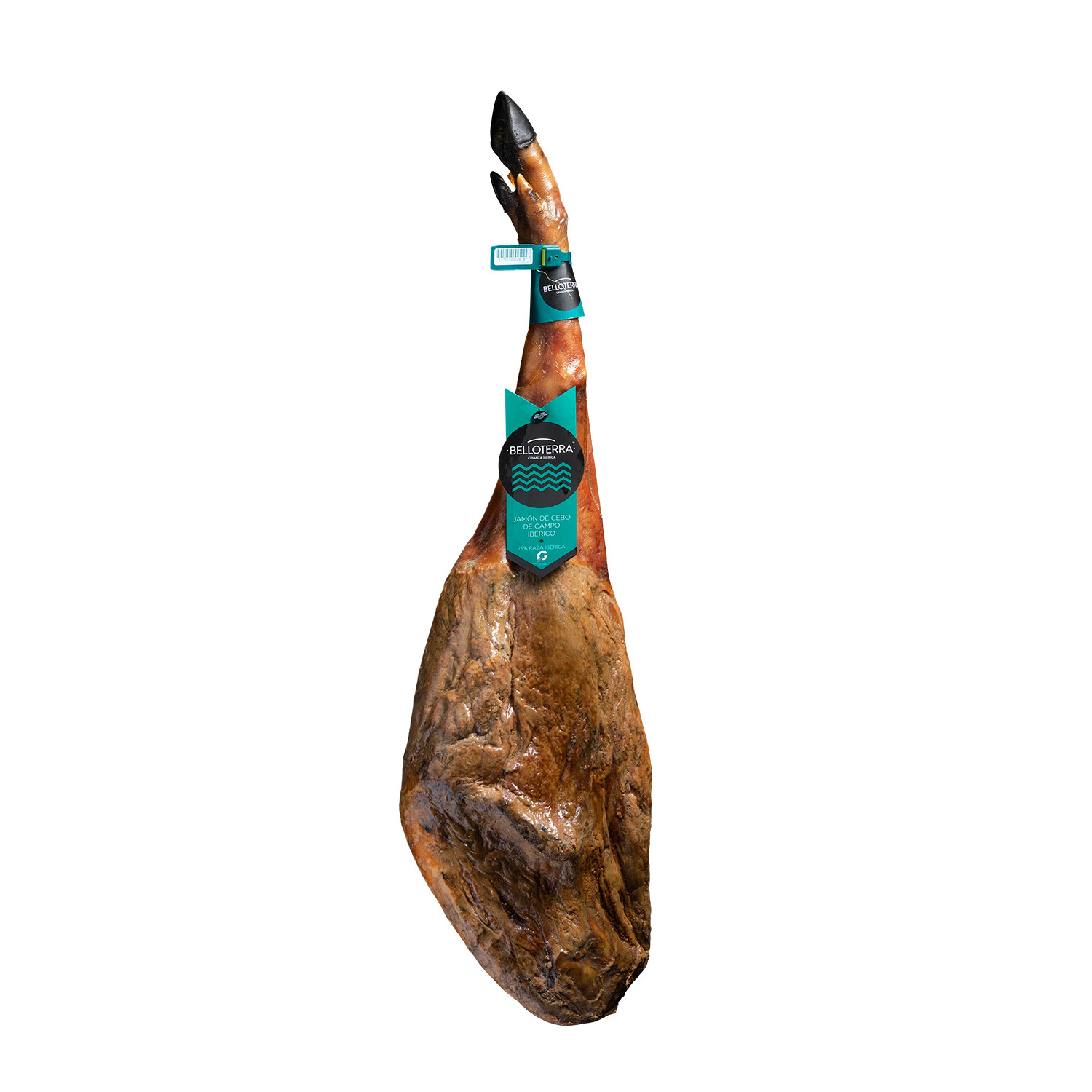 Jamon Iberico de Cebo de Campo Txanton Selection Bone-In Approx. (8.20kg)
