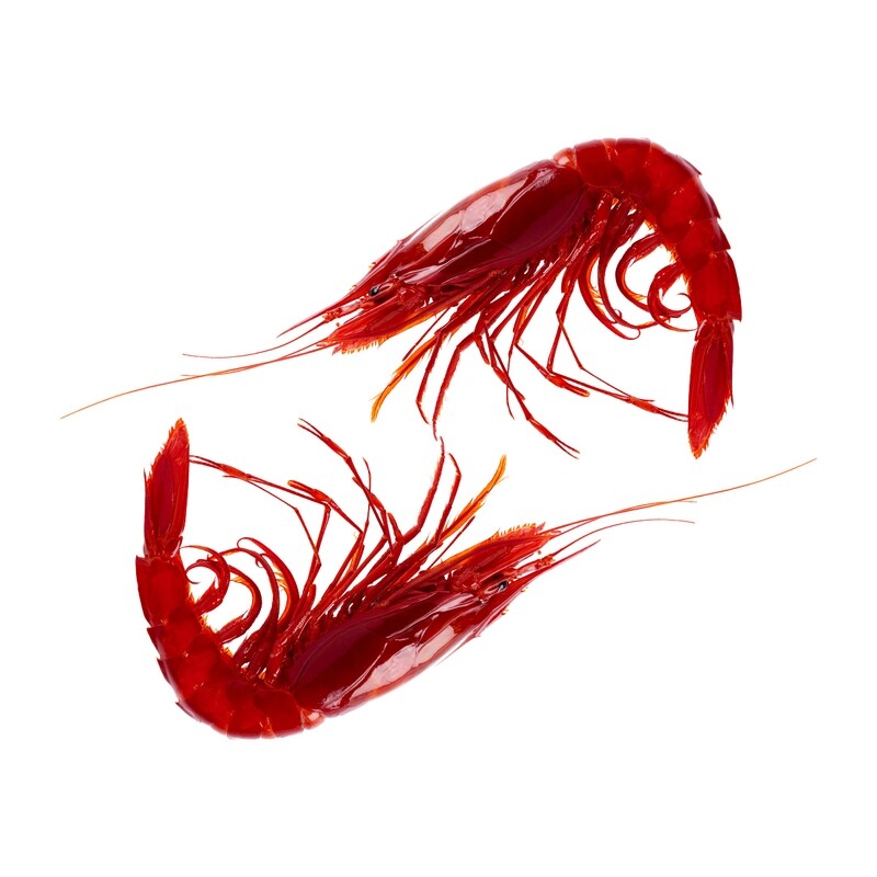Carabineros (Scarlet Shrimp) (1 kg Approx. per Box)