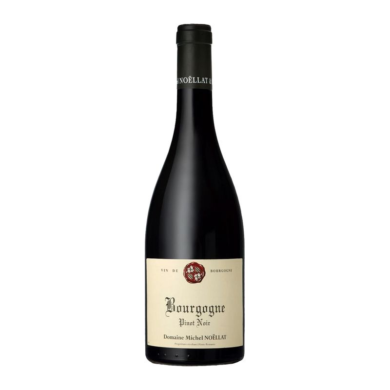Michel Noellat Bourgogne Pinot Noir 2022