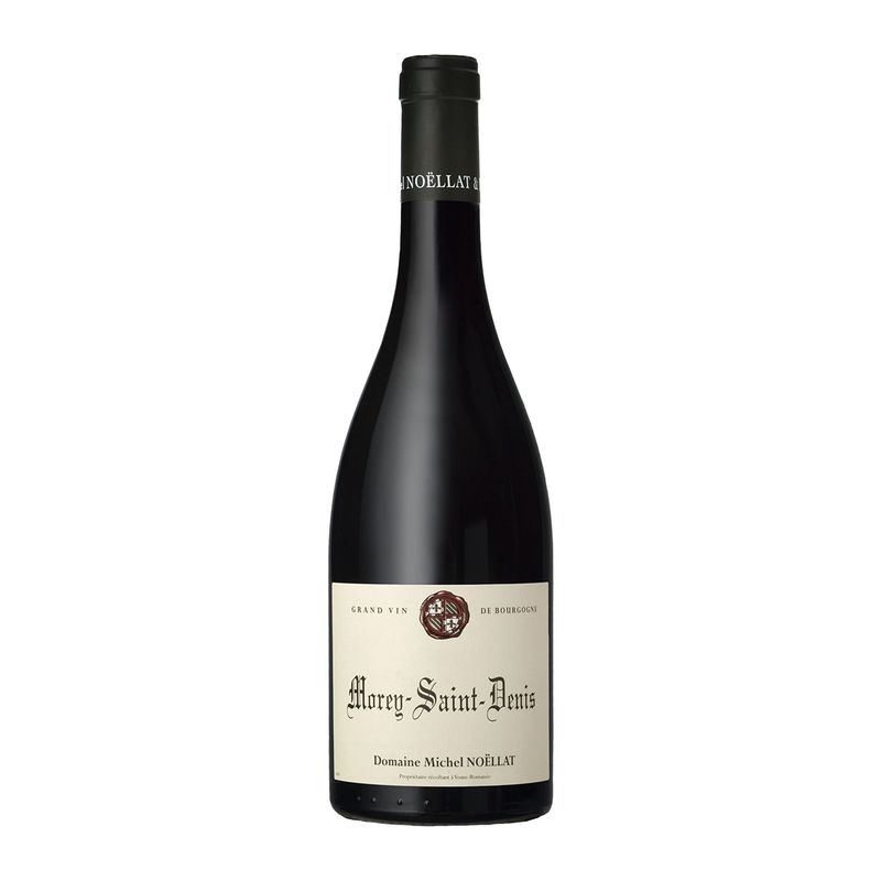Domaine Michel Noellat Morey-Saint-Denis 2021