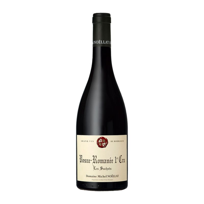 Domaine Michel Noellat Les Suchots 2021