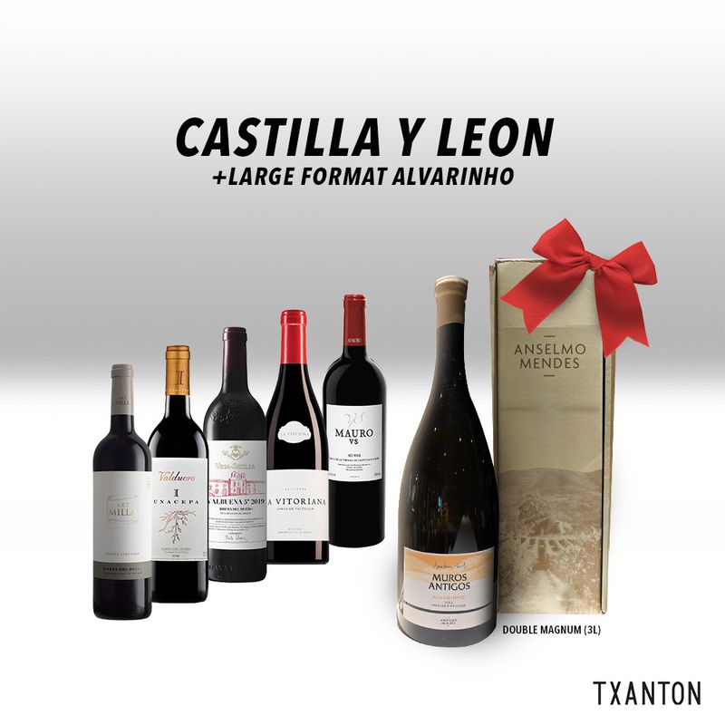 Castilla Y Leon | Large Format Alvarinho