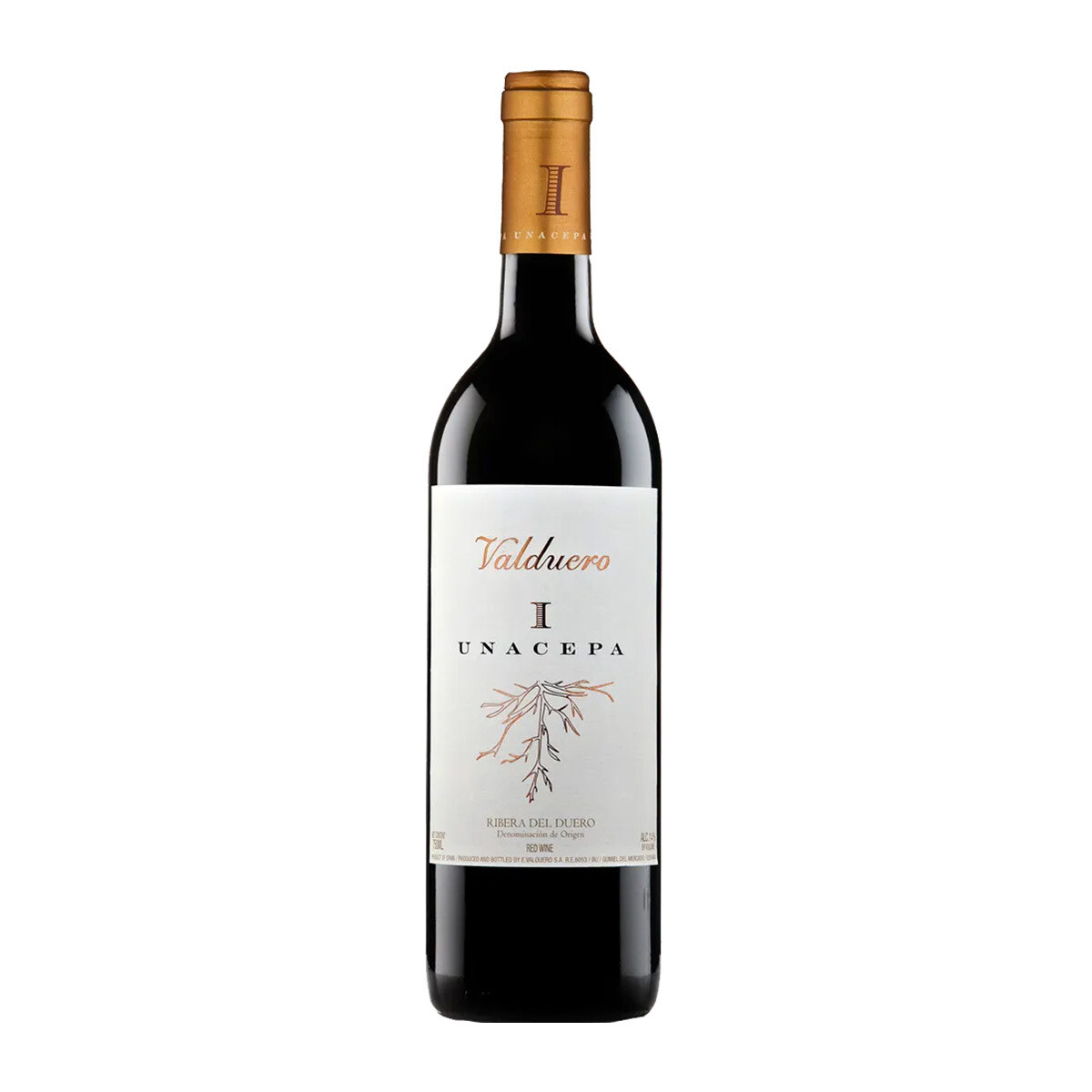 Bodegas Valduero 'Valduero' Una Cepa 2019 1.5L (Magnum)