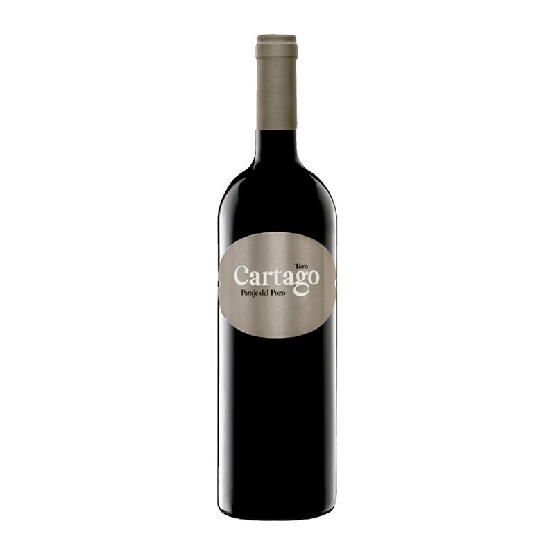 Bodegas y Vinedos San Roman Cartago 2021