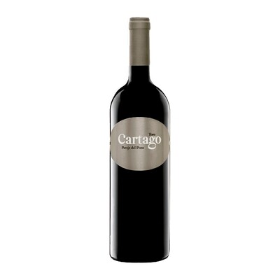 Bodegas y Vinedos San Roman Cartago 2021