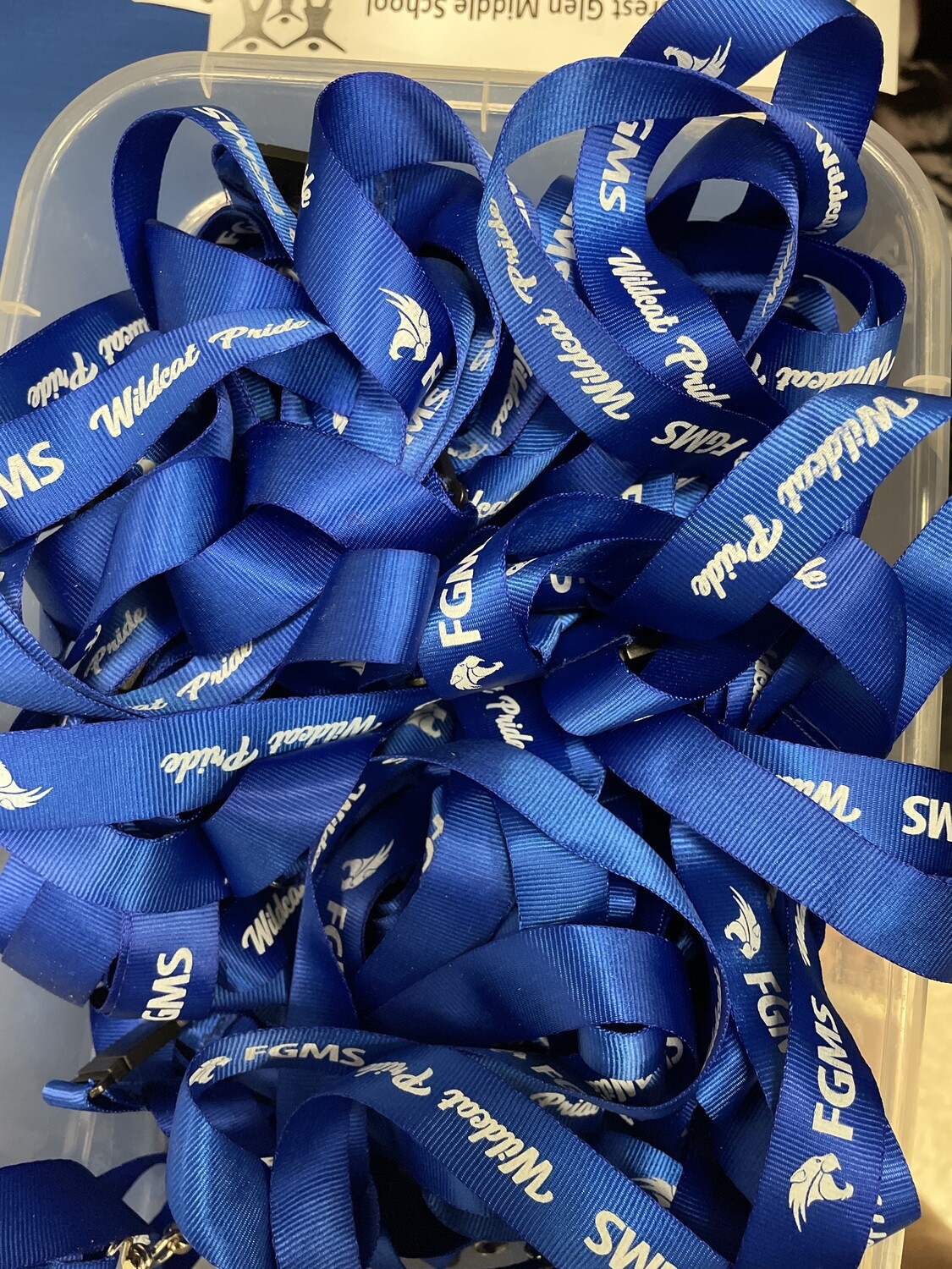 Lanyard