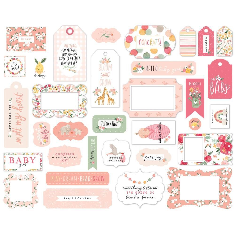 Echo Park Welcome Baby Girl Frames And Tags