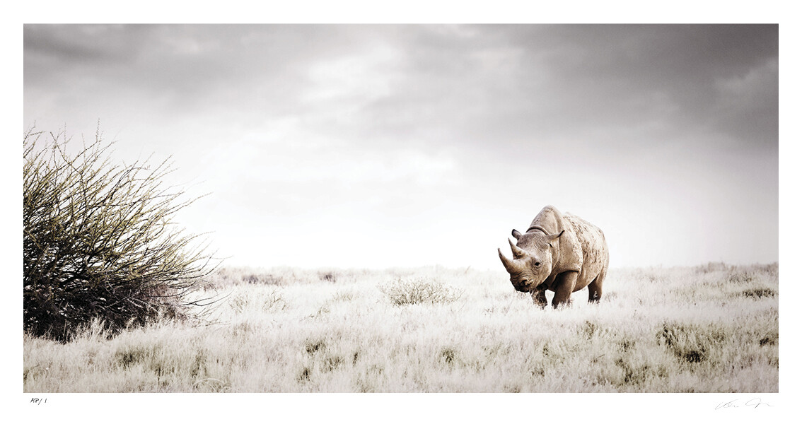 Solitude No.1 | Ltd Ed | Klaus Tiedge Solitude No.1 | Ltd Ed | Klaus Tiedge