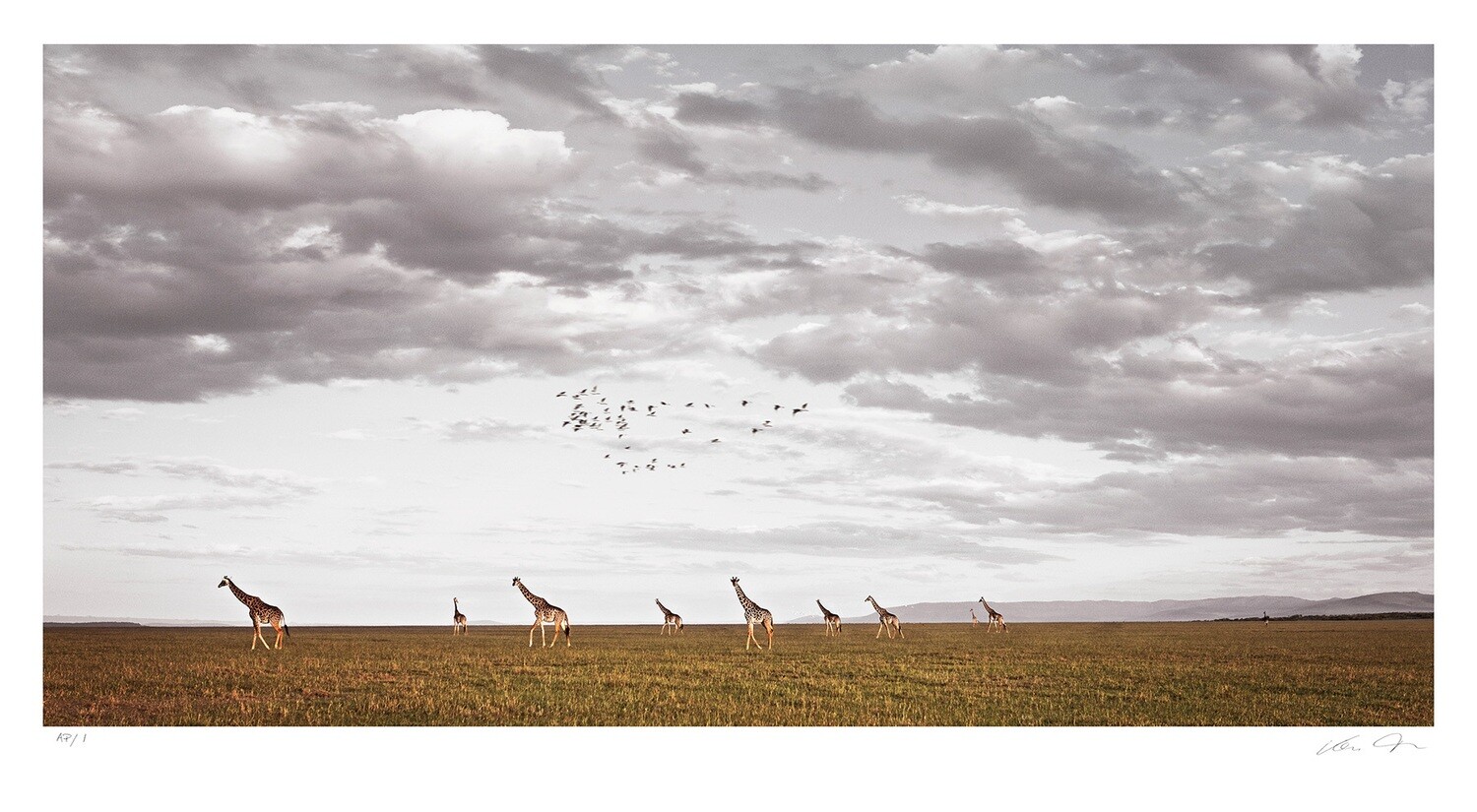 African Vista | Ltd Ed | Klaus Tiedge African Vista | Ltd Ed | Klaus Tiedge