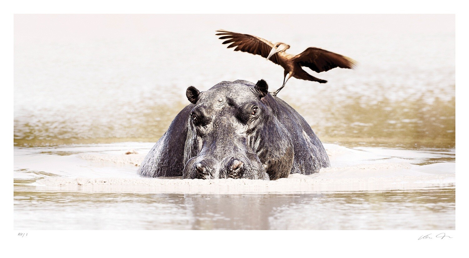 Okavango Harmony | Ltd Ed | Klaus Tiedge Okavango Harmony | Ltd Ed | Klaus Tiedge