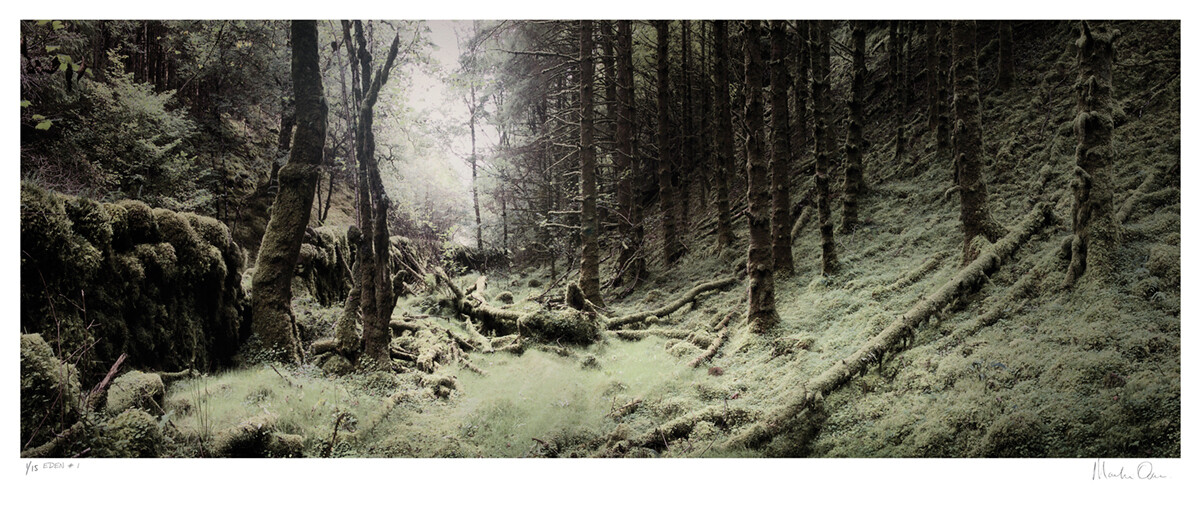 Eden No.1 | Ed 15 | Martin Osner Eden No.1 | Ed 15 | Martin Osner