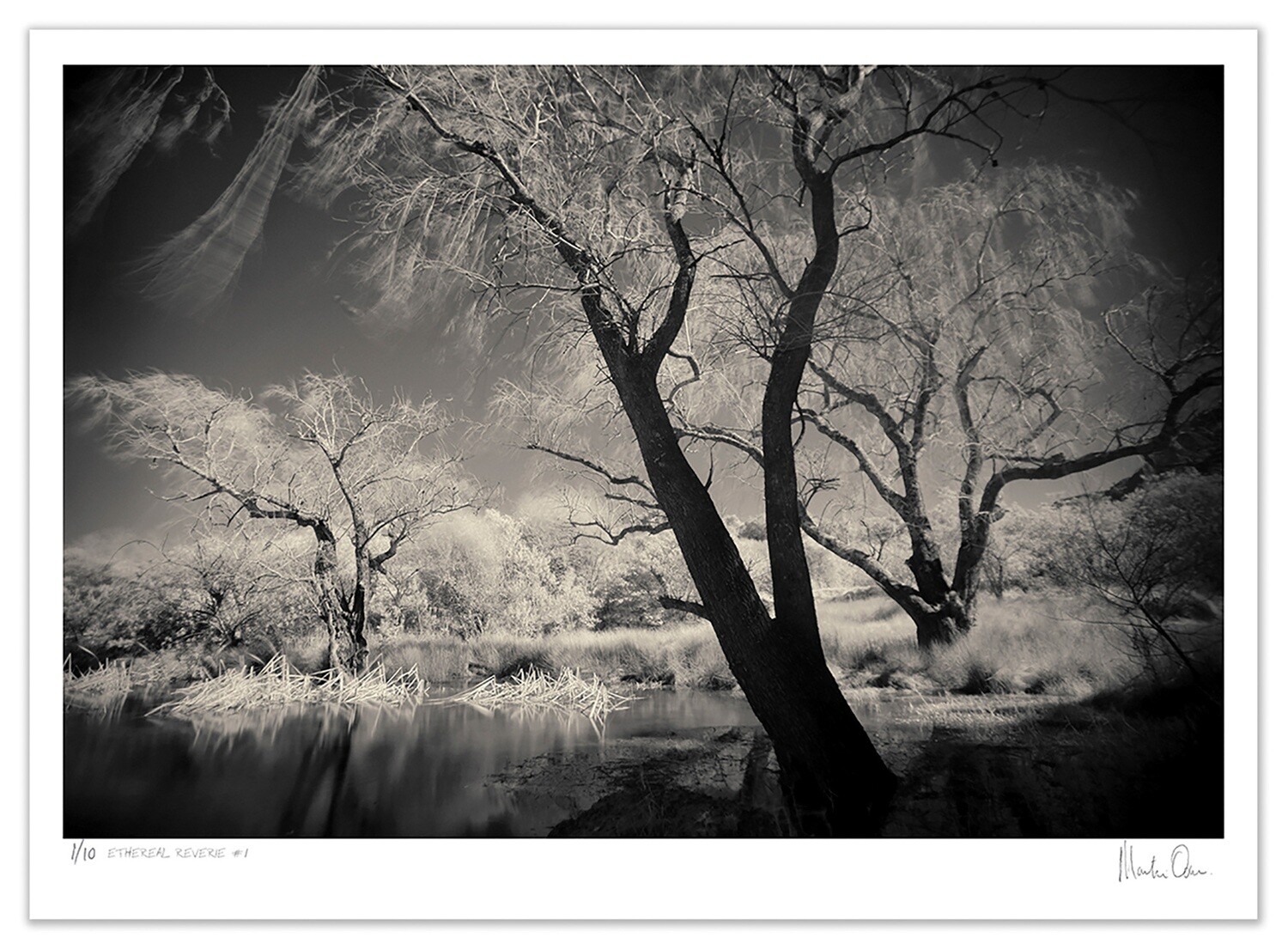 Ethereal Reverie No.1 | Ed 20 | Martin Osner Ethereal Reverie No.1 | Ed 20 | Martin Osner
