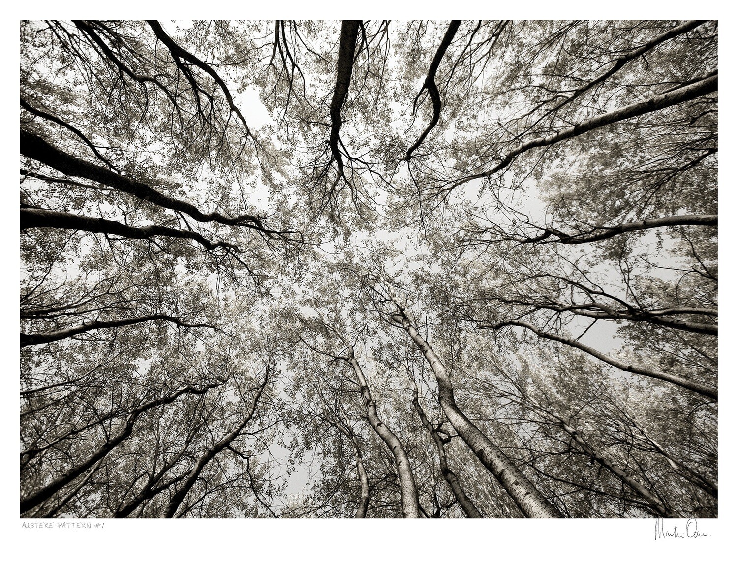 Austere Pattern No.1 | Martin Osner Austere Pattern No.1 | Martin Osner