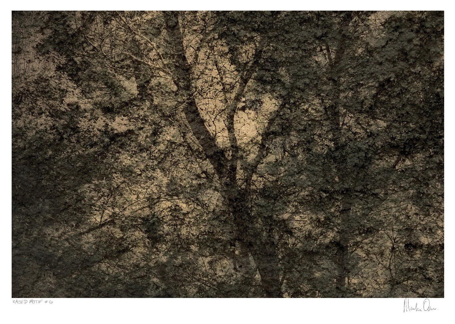 Raised Motif No.5 | Martin Osner Raised Motif No.5 | Martin Osner