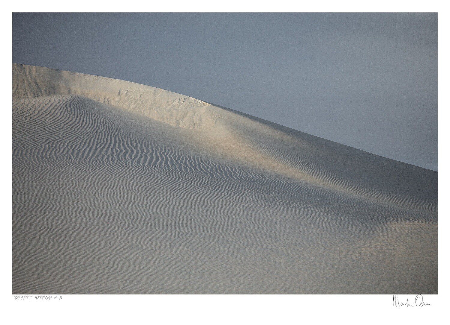 Desert Harmony No.3 | Martin Osner Desert Harmony No.3 | Martin Osner
