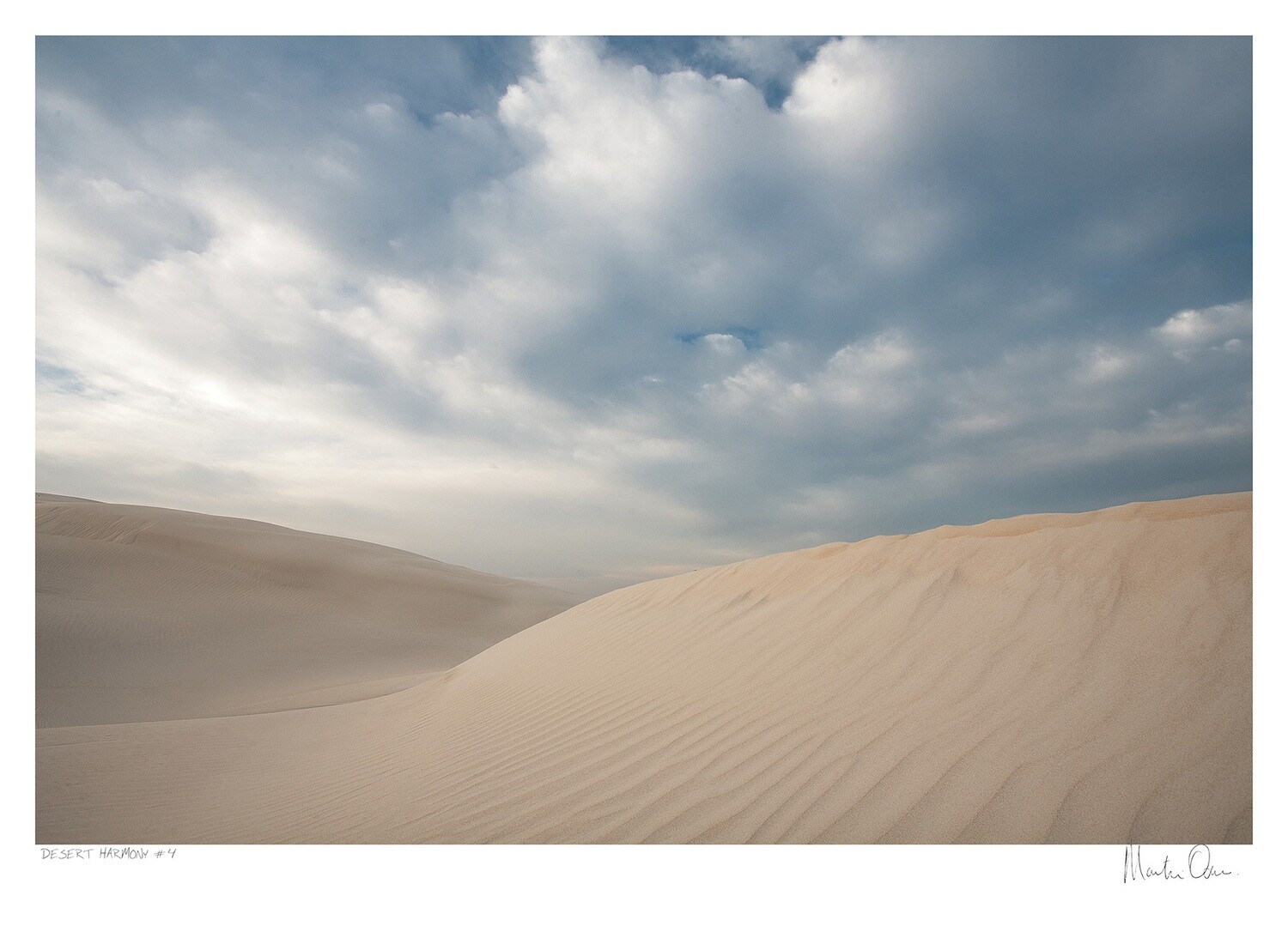 Desert Harmony No.4 | Martin Osner Desert Harmony No.4 | Martin Osner