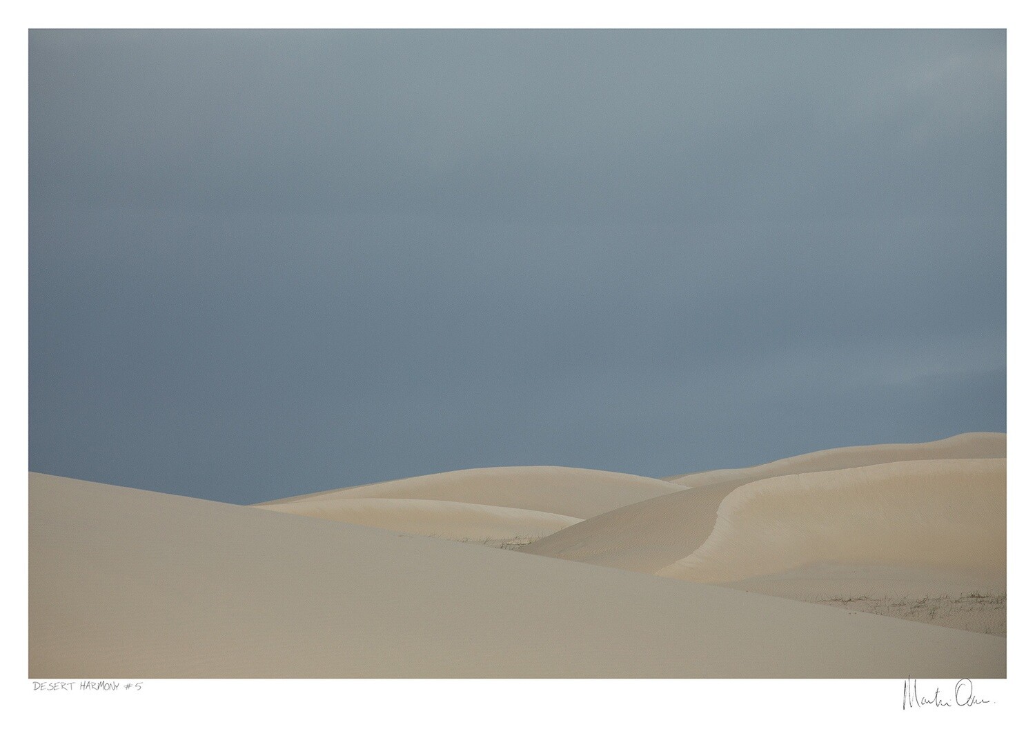 Desert Harmony No.5 | Martin Osner Desert Harmony No.5 | Martin Osner