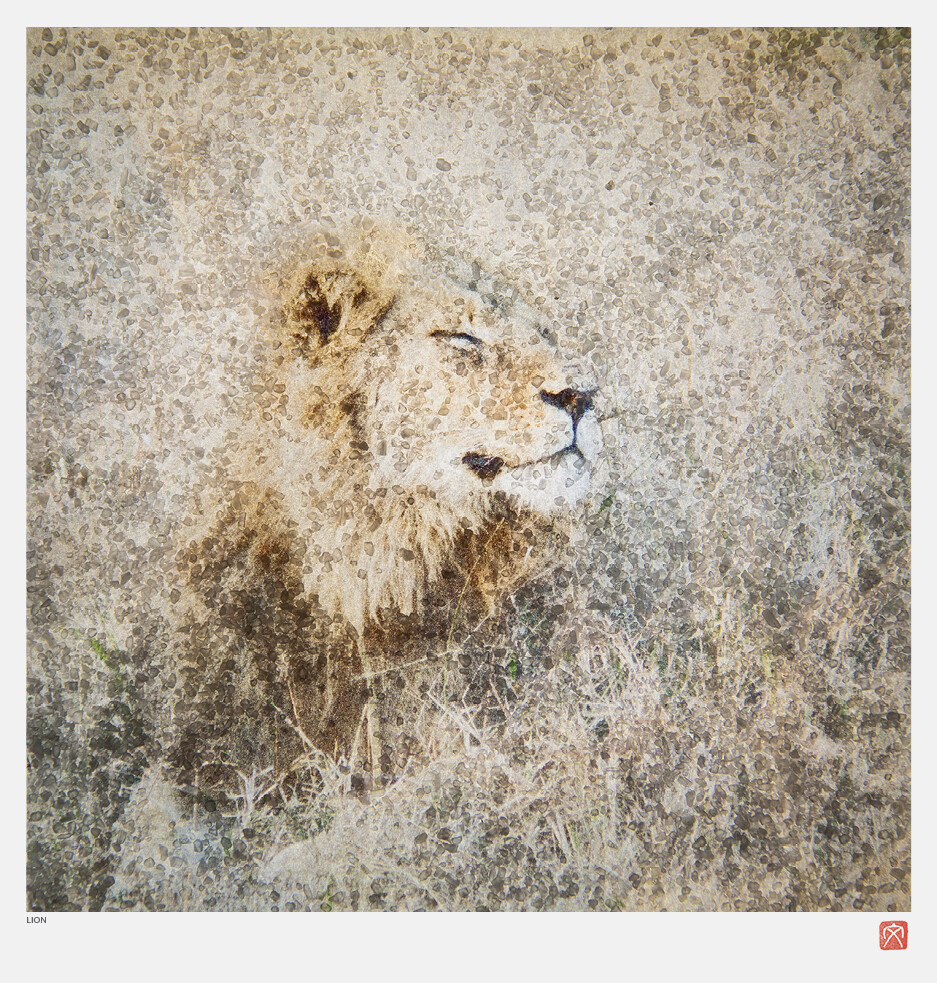 African Crystal | Lion | Fumi Hirai African Crystal | Lion | Fumi Hirai