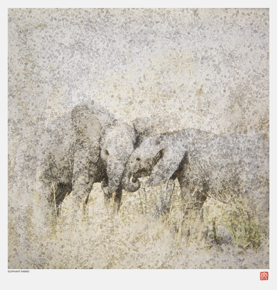 African Crystal | Elephant Babies | Fumi Hirai African Crystal | Elephant Babies | Fumi Hirai