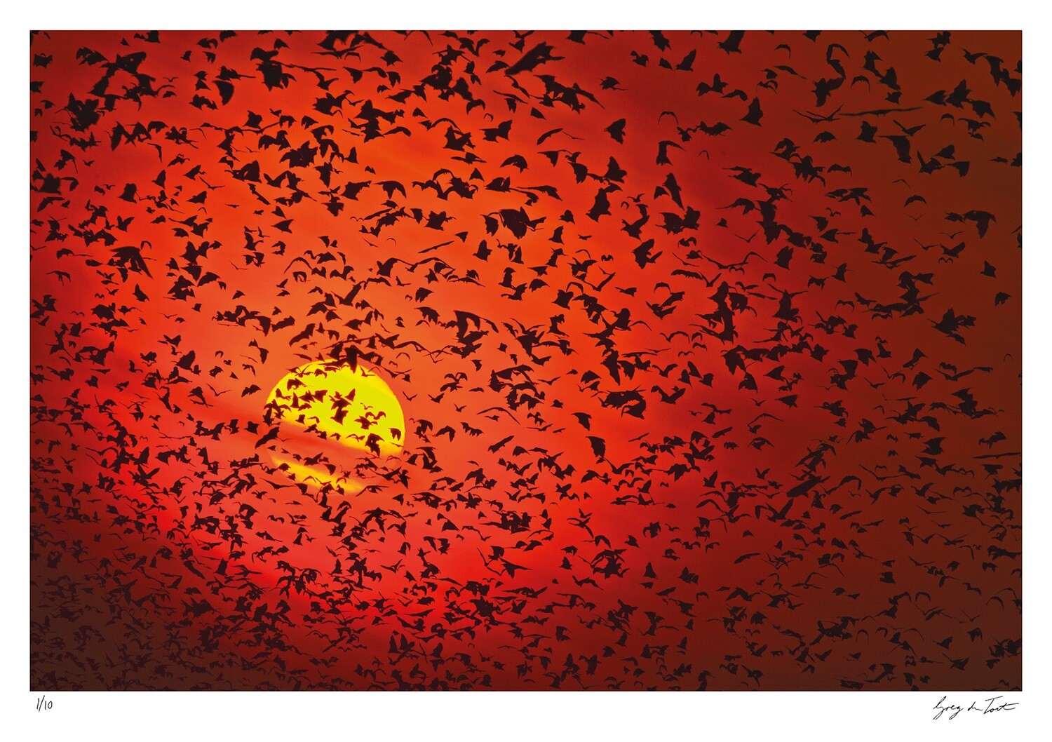 Patterns of Africa | Kasanke Sunrise | Ed 10 | Greg Du Toit Patterns of Africa | Kasanke Sunrise | Ed 10 | Greg Du Toit