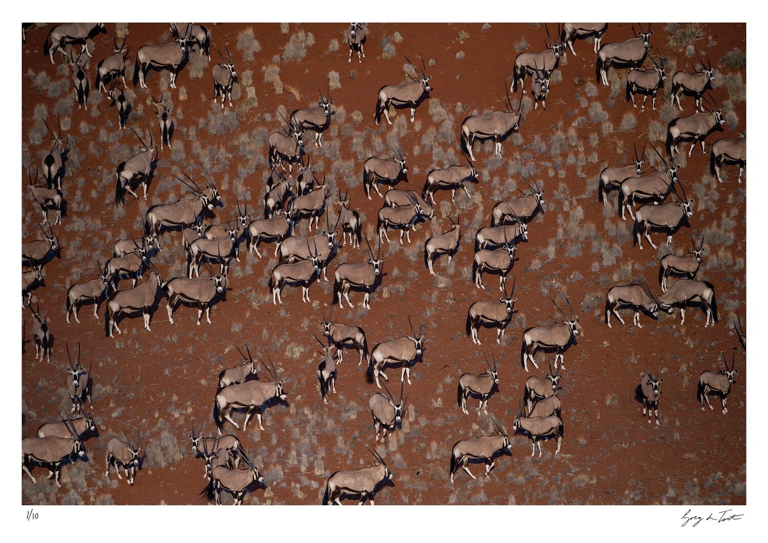 Patterns of Africa | Oryx in 3D | Ed 10 | Greg Du Toit Patterns of Africa | Oryx in 3D | Ed 10 | Greg Du Toit