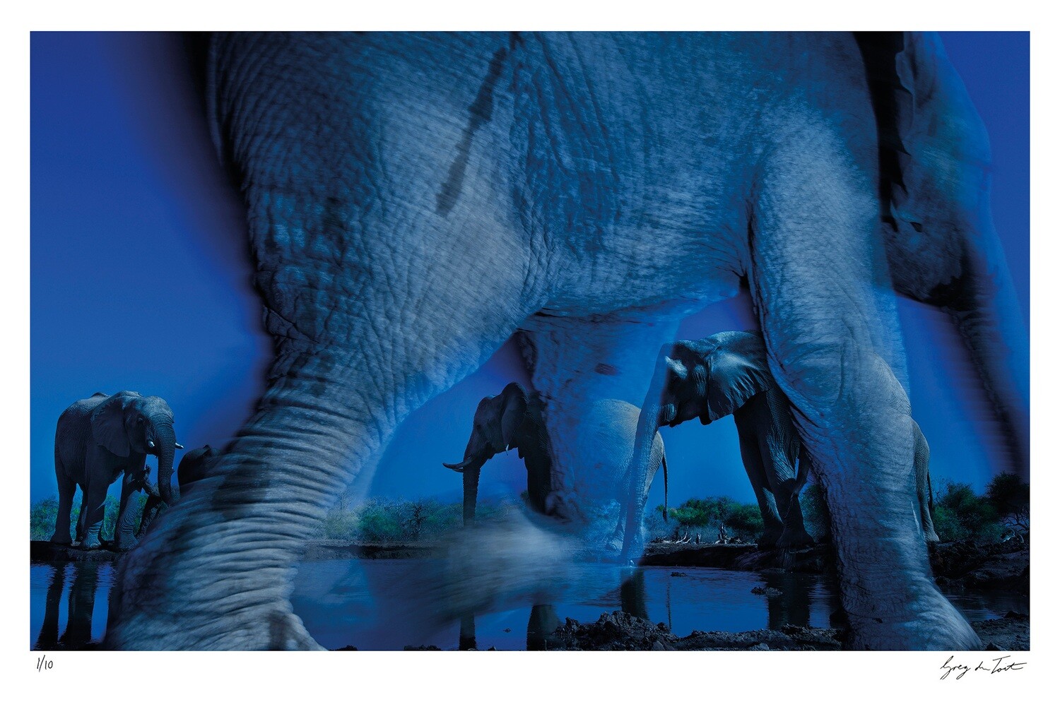 Ethereal Collection - Essence of Elephants | Ed 10 | Greg Du Toit Ethereal Collection - Essence of Elephants | Ed 10 | Greg Du Toit