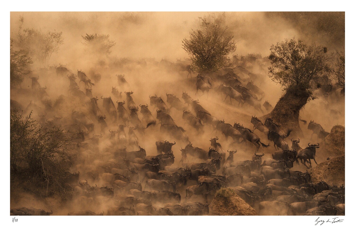 On the Move - Implausibility of Wildebeest | Ed 10 | Greg Du Toit On the Move - Implausibility of Wildebeest | Ed 10 | Greg Du Toit