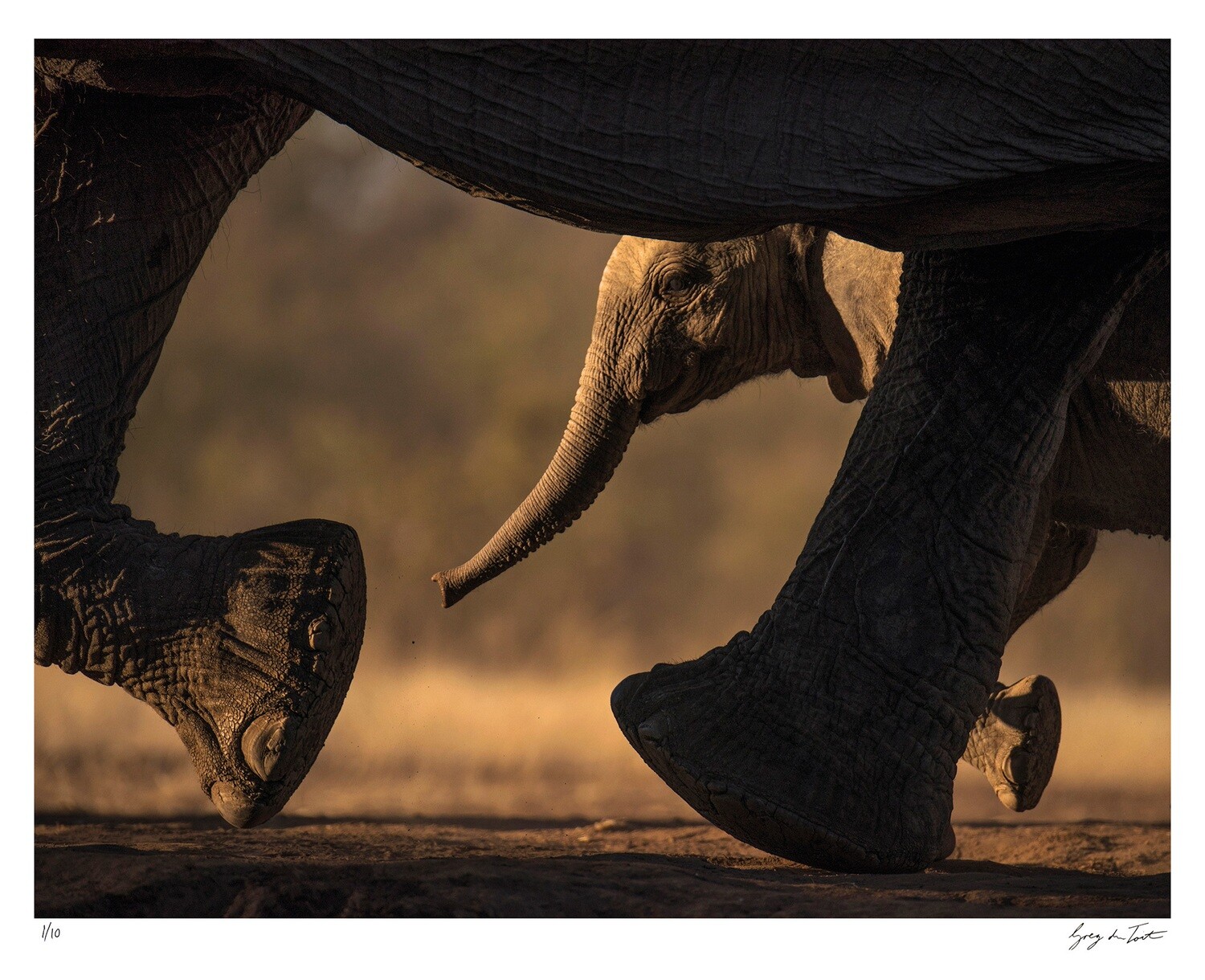 On the Move - Keeping up with Mom | Ed 10 | Greg Du Toit On the Move - Keeping up with Mom | Ed 10 | Greg Du Toit