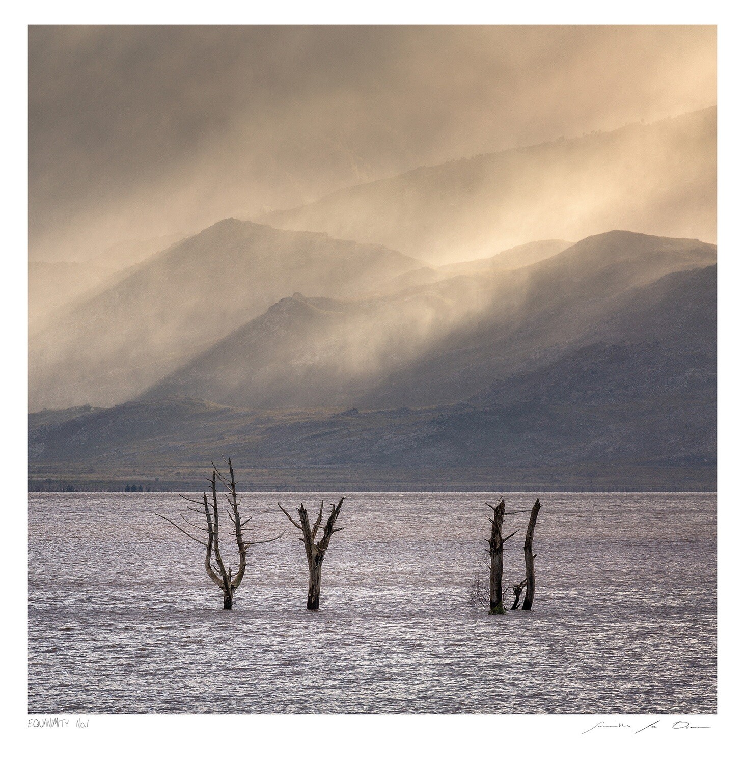 Equanimity No.1 | Ltd Ed | Samantha lee Osner Equanimity No.1 | Ltd Ed | Samantha lee Osner