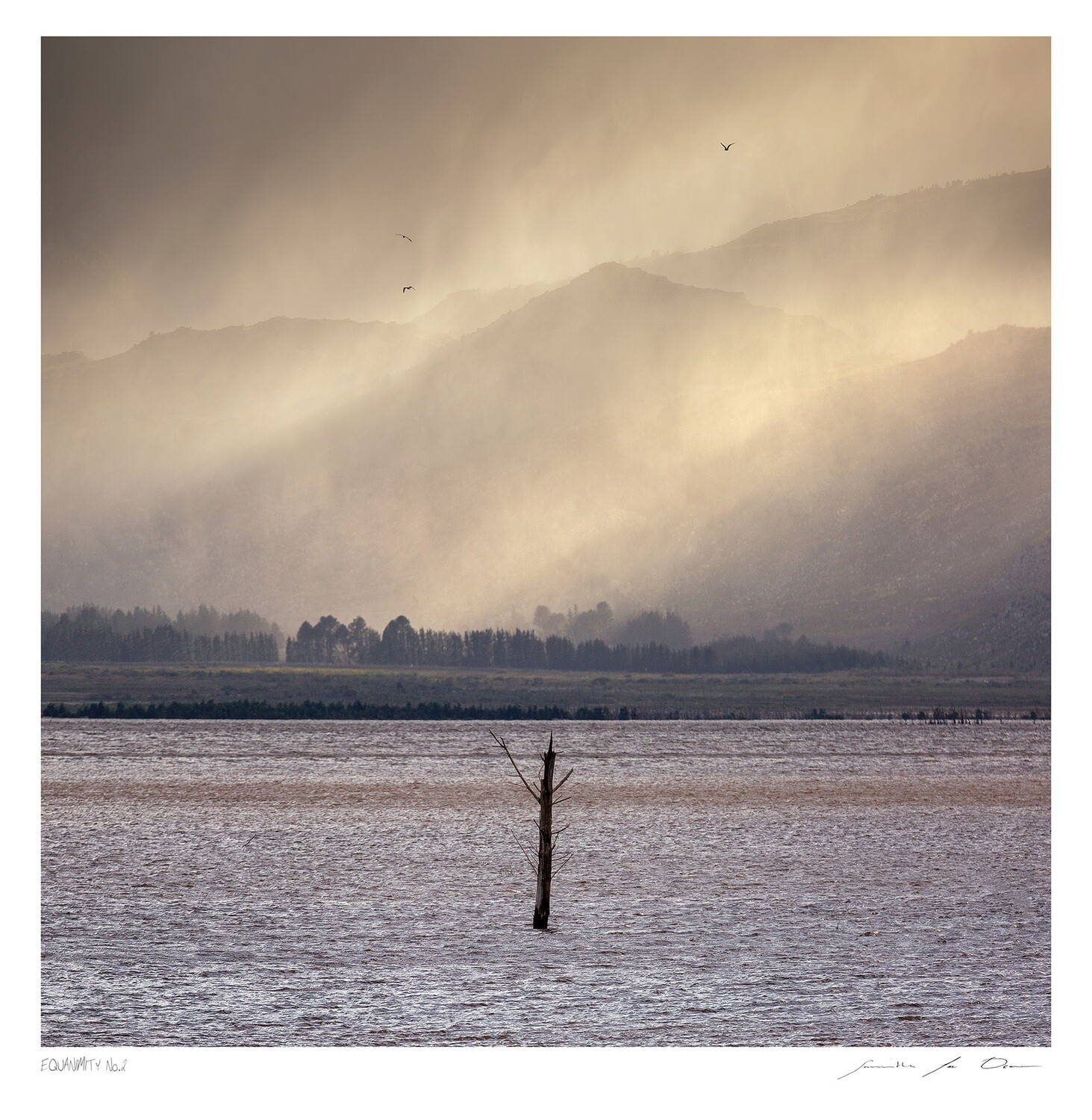 Equanimity No.2 | Ltd Ed | Samantha lee Osner Equanimity No.2 | Ltd Ed | Samantha lee Osner
