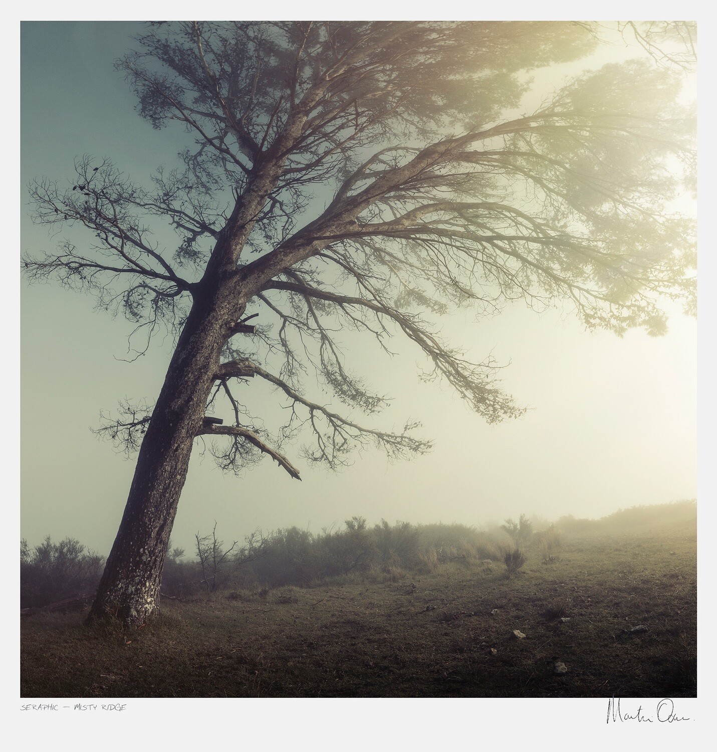 Seraphic | Misty Ridge | Martin Osner Seraphic | Misty Ridge | Martin Osner