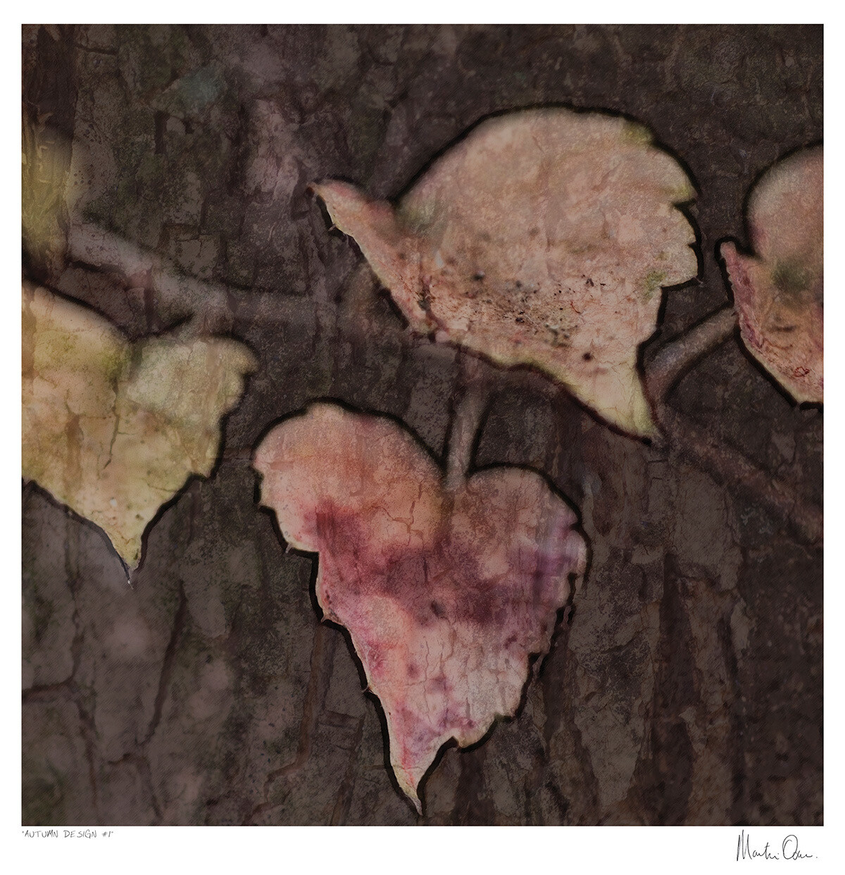 Autumn Design | Martin Osner Autumn Design | Martin Osner