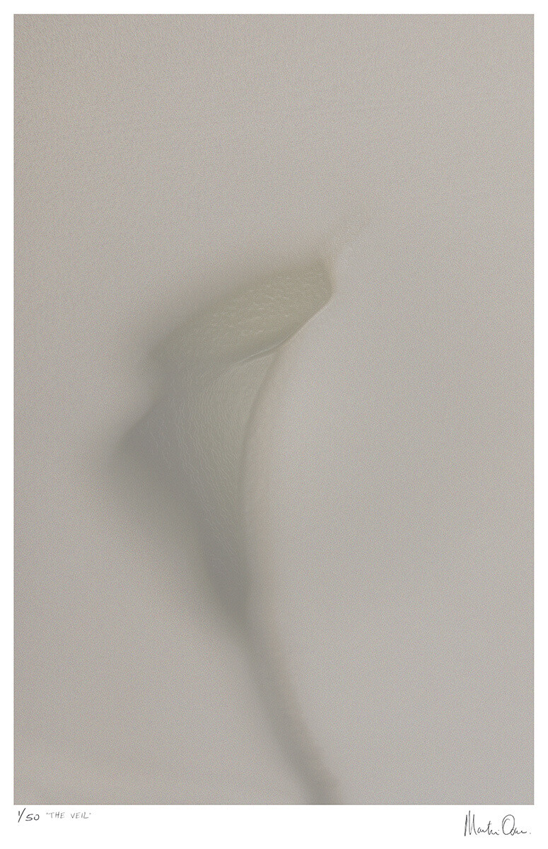 The Veil | Limited 50 | Martin Osner The Veil | Limited 50 | Martin Osner