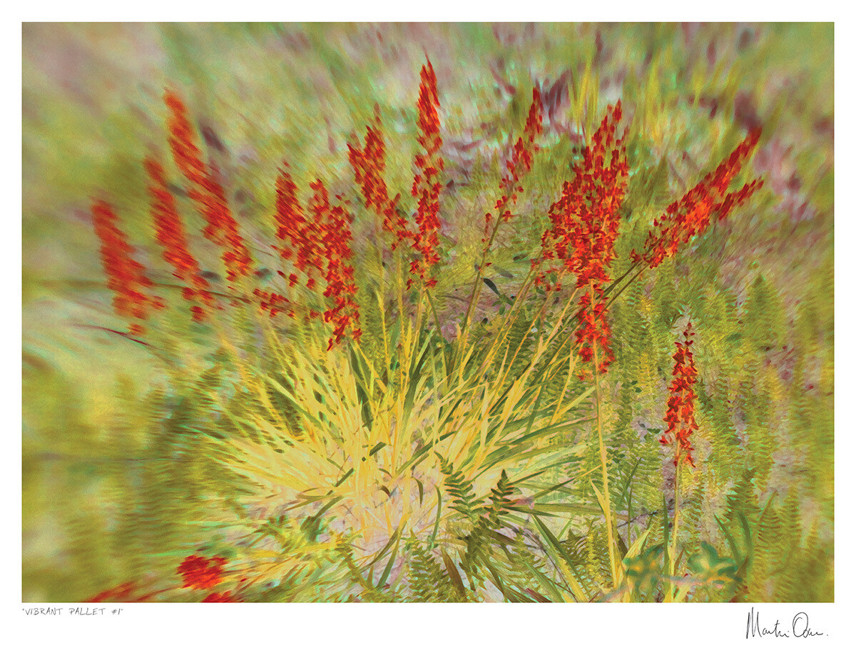 Vibrant Pallet No.1 | Martin Osner Vibrant Pallet No.1 | Martin Osner