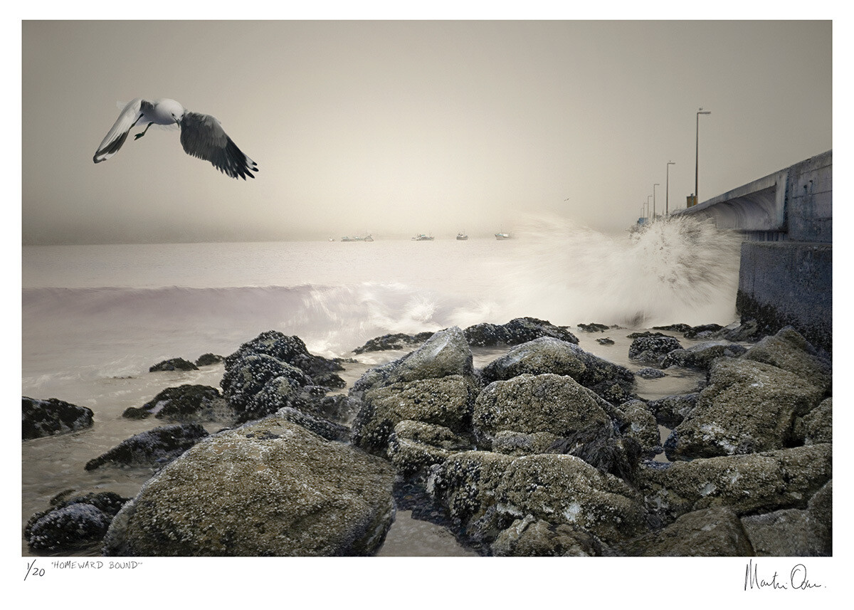 Homeward Bound | Limited 20 | Martin Osner Homeward Bound | Limited 20 | Martin Osner