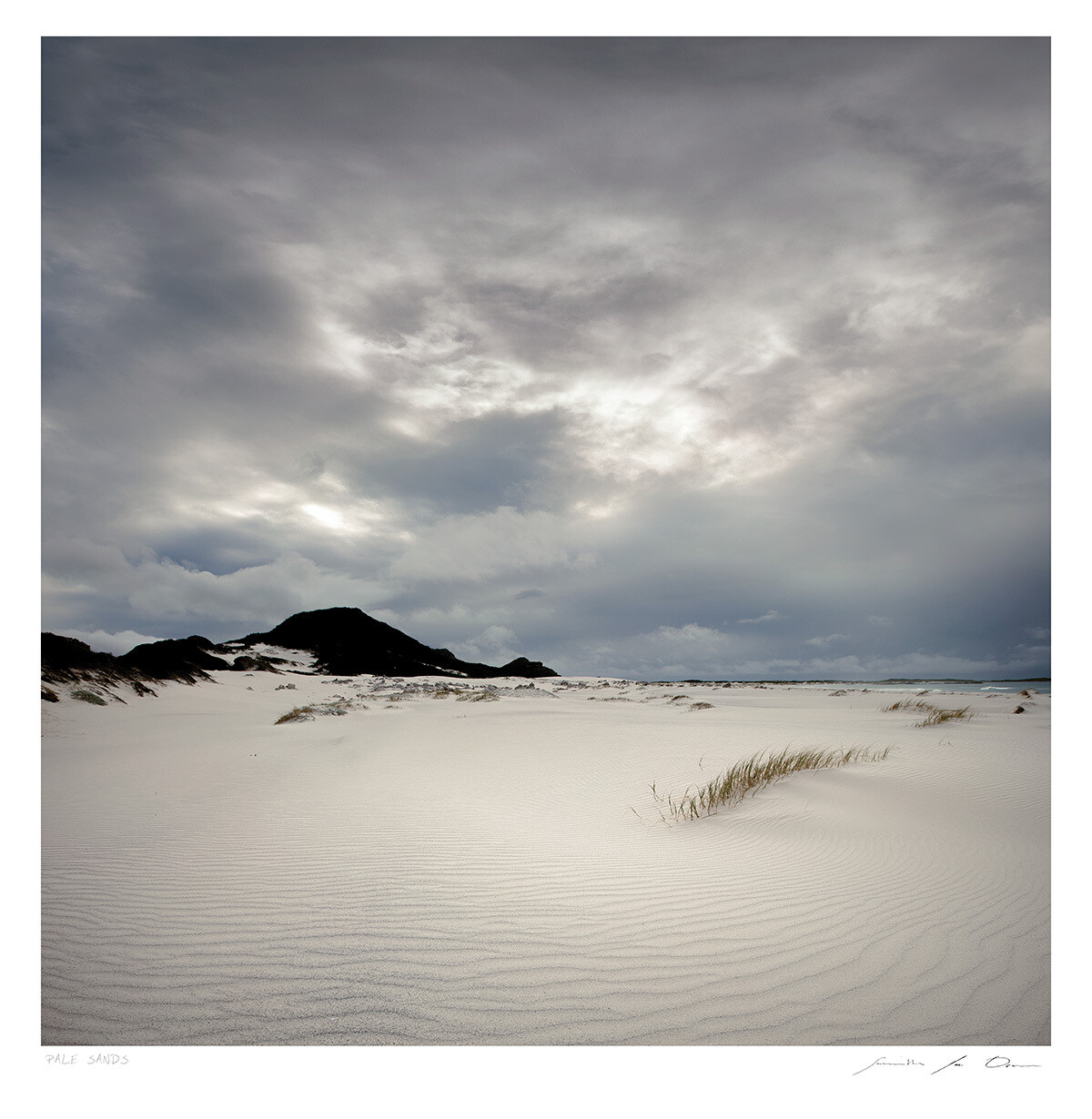 Pale Sands | Limited Edition | Samantha Lee Osner Pale Sands | Limited Edition | Samantha Lee Osner