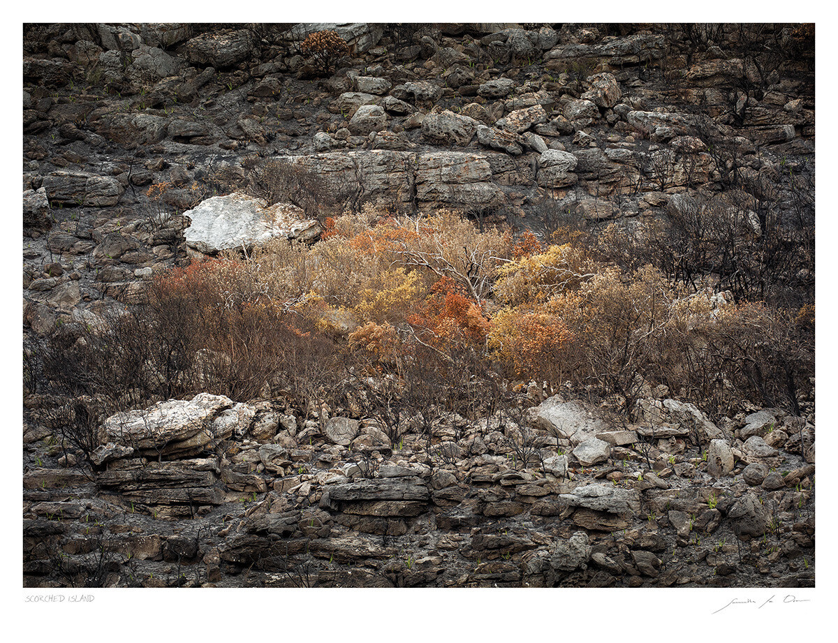 Scorched Island | Samantha Lee Osner Scorched Island | Samantha Lee Osner