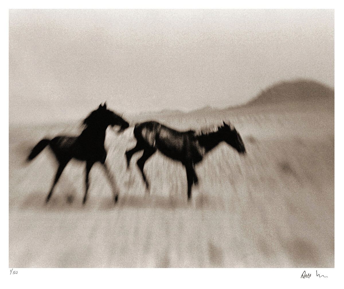 Wild Horses of the Namib No.5 | Ed 50 | Antti Viitala Wild Horses of the Namib No.5 | Ed 50 | Antti Viitala