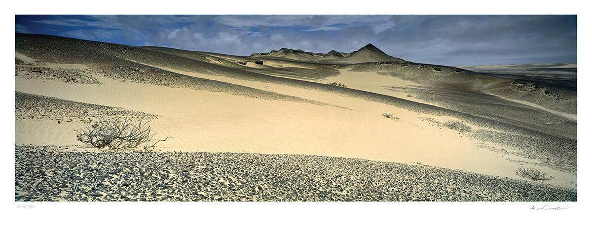 Serenus | Ed 25 | Koos van der Lende Serenus | Ed 25 | Koos van der Lende