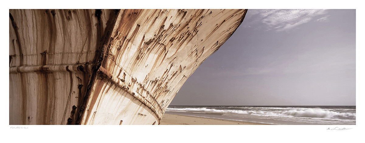 Forsaken No.2 | Ed 25 | Koos van der Lende Forsaken No.2 | Ed 25 | Koos van der Lende