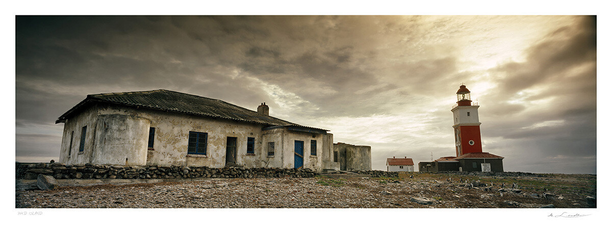 Bird Island | Ed 25 | Koos van der Lende Bird Island | Ed 25 | Koos van der Lende