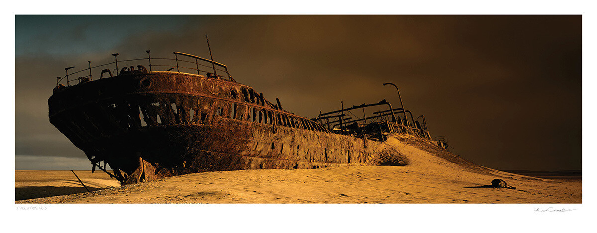 Evolution No.5 | Ed 25 | Koos van der Lende Evolution No.5 | Ed 25 | Koos van der Lende