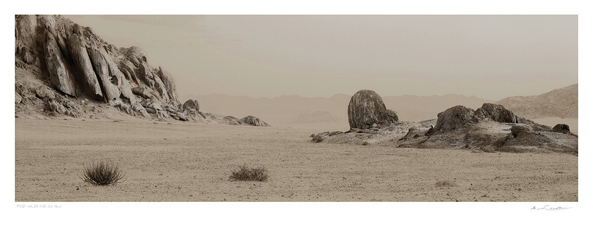 Arid Wilderness No.2 | Ed 25 | Koos van der Lende Arid Wilderness No.2 | Ed 25 | Koos van der Lende