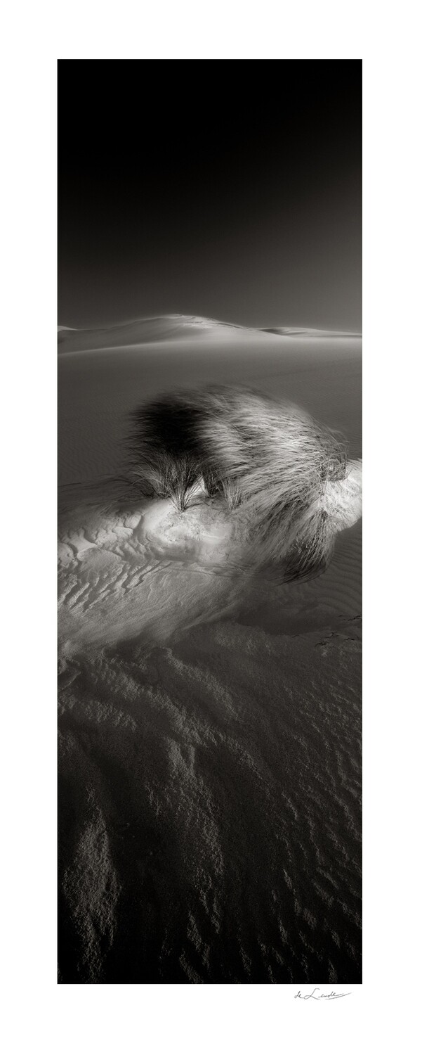 Last Light | Ed 25 | Koos van der Lende Last Light | Ed 25 | Koos van der Lende