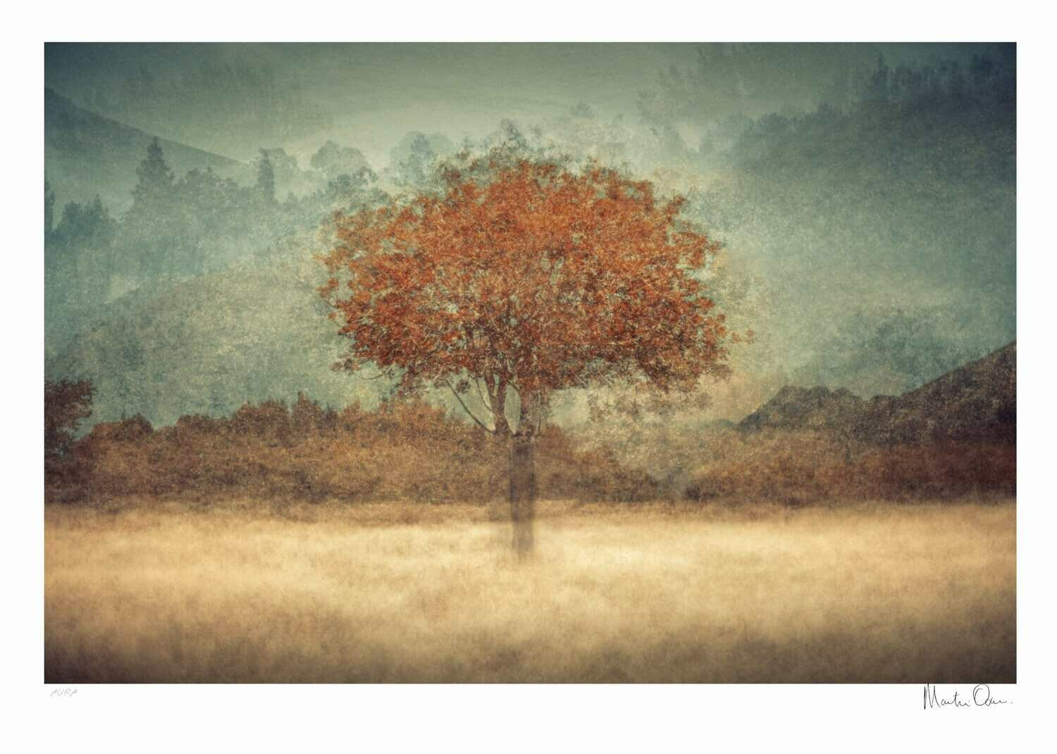 Aura | Ltd Ed (15) | Martin Osner Aura | Ltd Ed (15) | Martin Osner